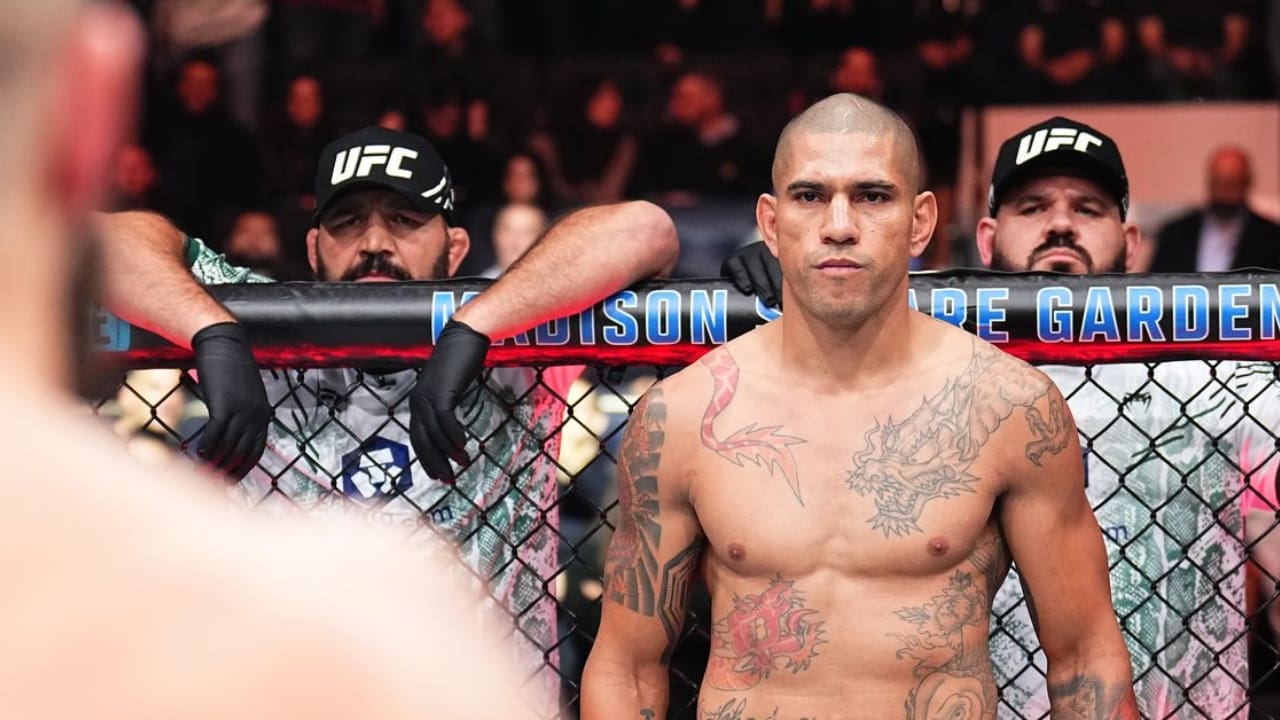 Alex Pereira Net Worth in 2026: Career Earnings, Endorsements Alex Pereira's Biography