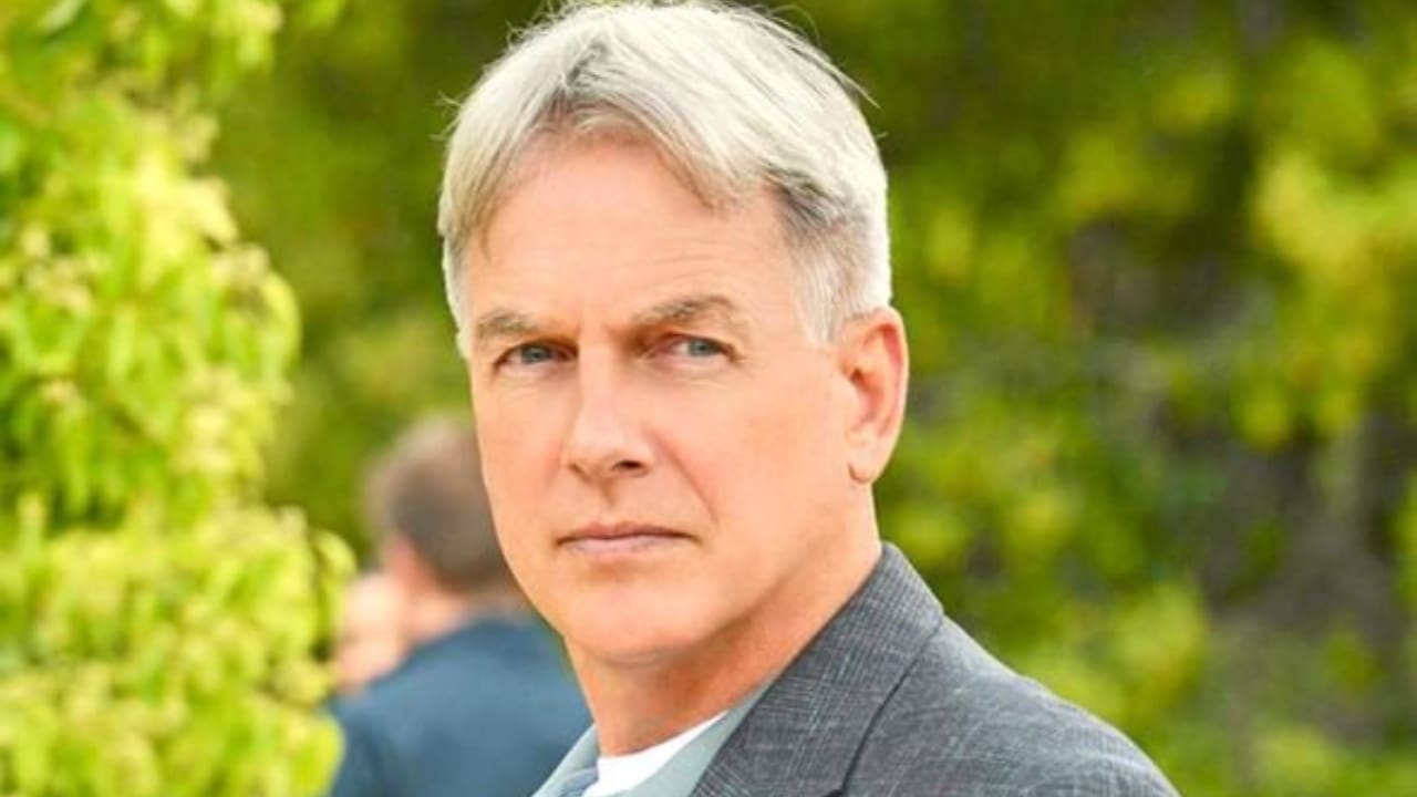Cody James Net Worth Details Cody James Net Worth Details
