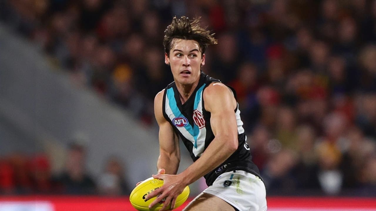 Connor Rozee Net Worth