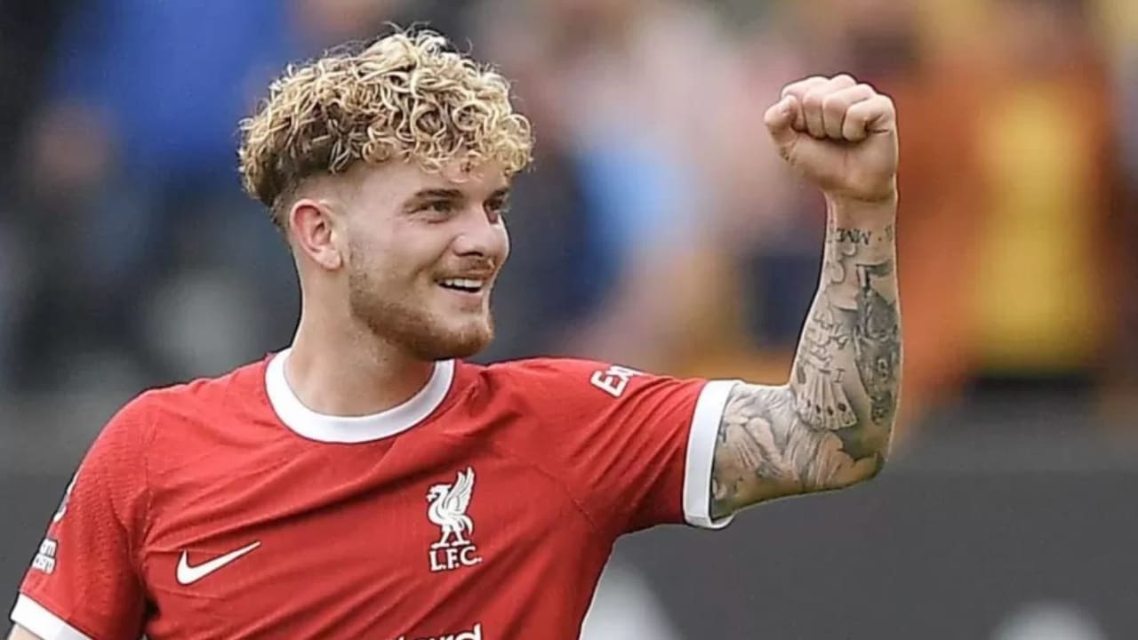 Danielle Collins Net Worth Details Danielle Collins Net Worth Details