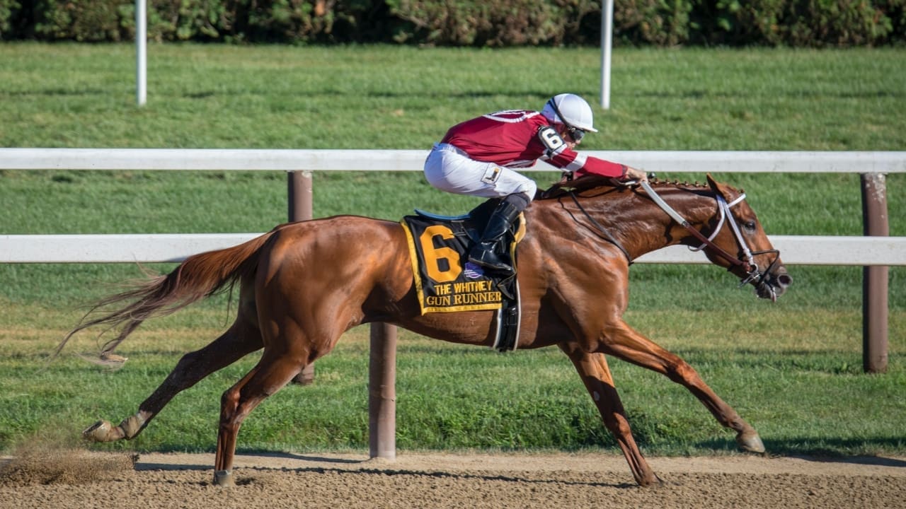 What is the Length in Horse Racing What is the Length in Horse Racing