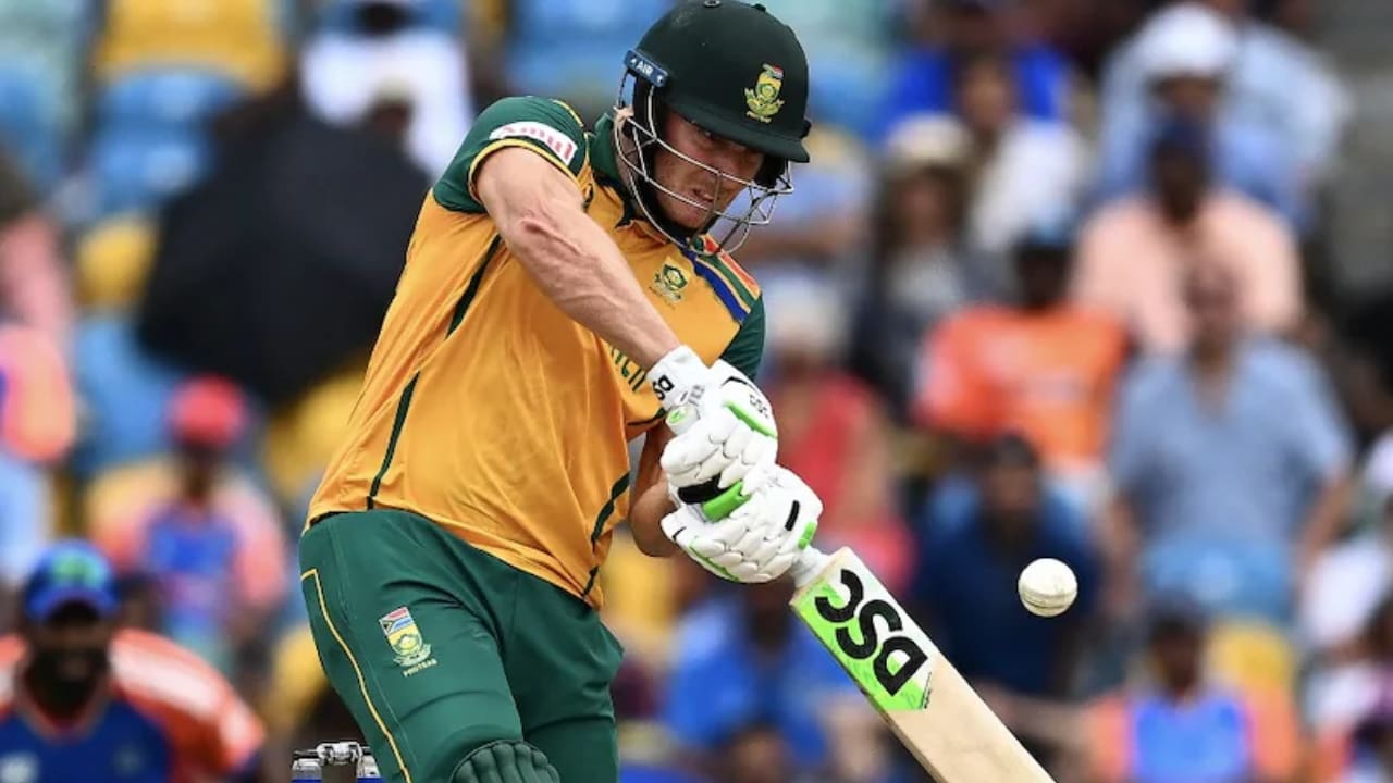 David Miller's Biography