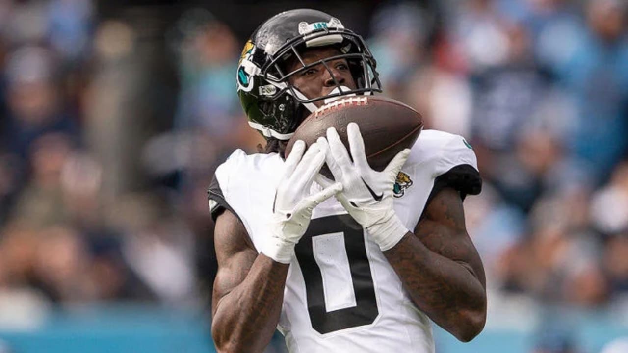 Calvin Ridley's Biography