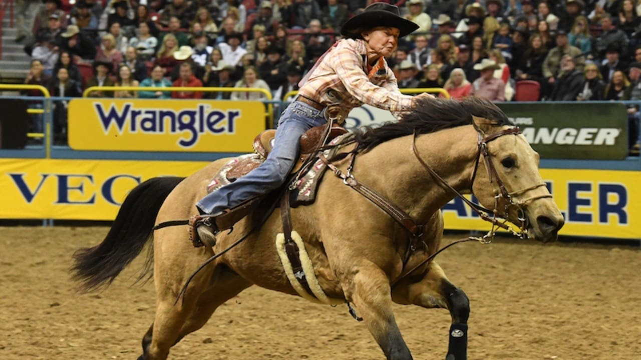 What Does NFR Stand for Rodeo What Does NFR Stand for Rodeo