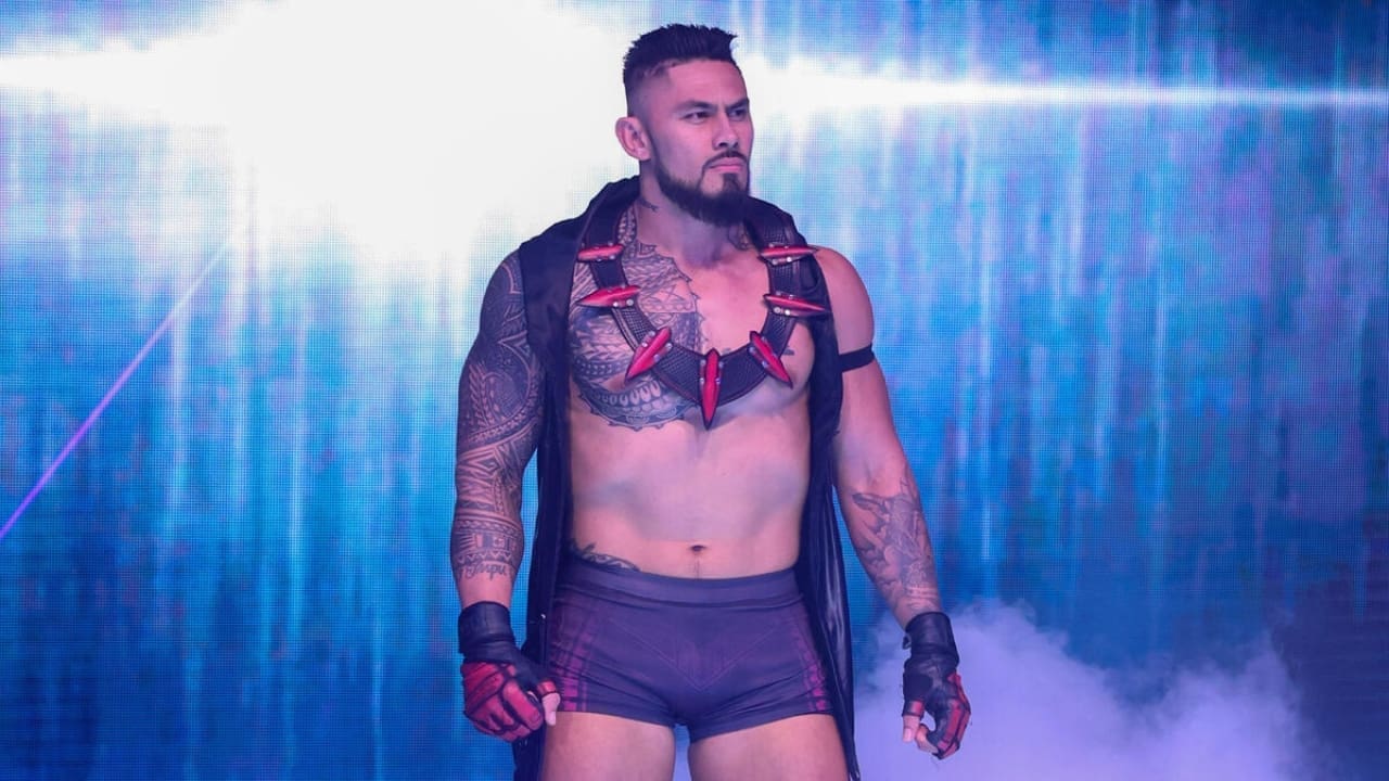 Xyon Quinn Net Worth Xyon Quinn Net Worth