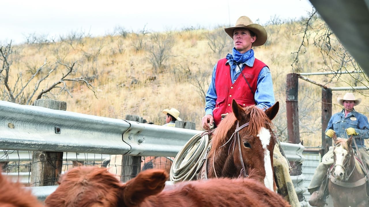 Colter Todd Net Worth Details Colter Todd Net Worth Details
