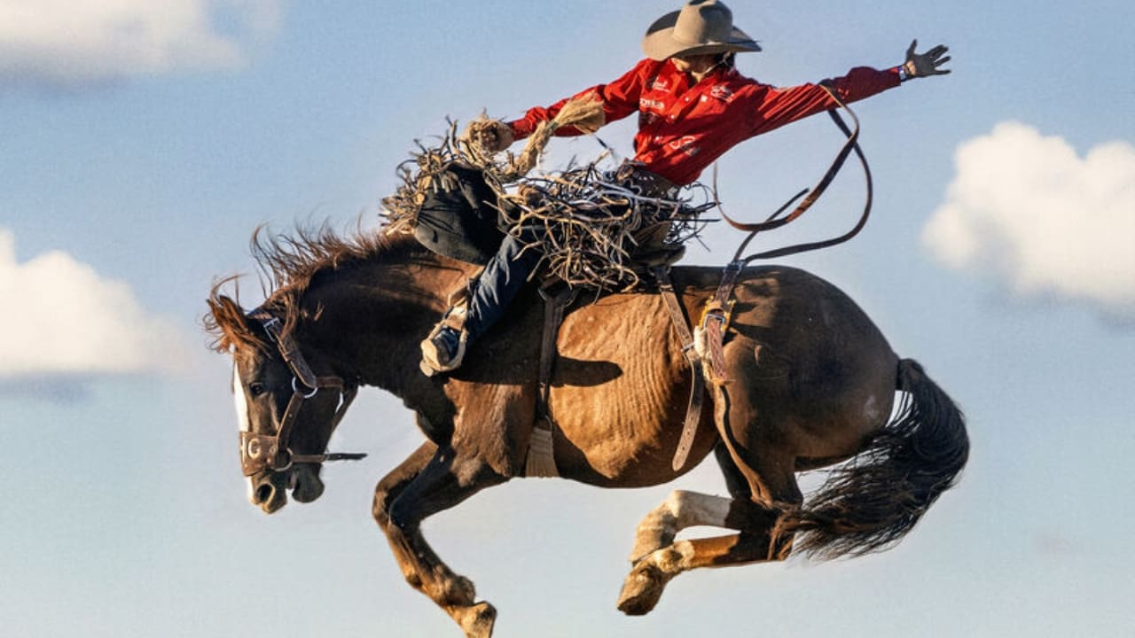 Kade Bruno Biography