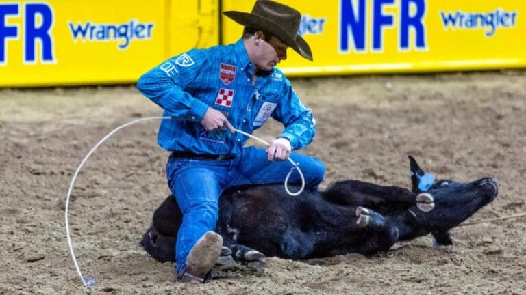 Kincade Henry NFR Net Worth Details