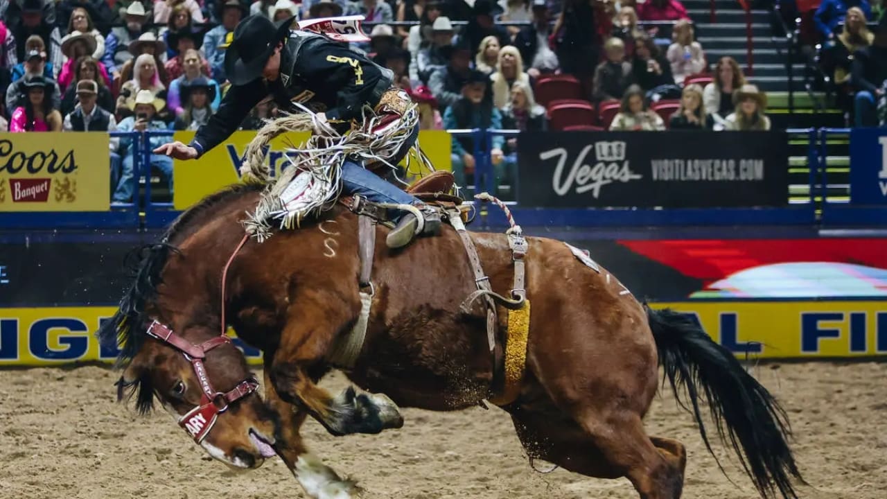 Layton Green Net Worth in 2026: Earnings, and Stats Layton Green Biography