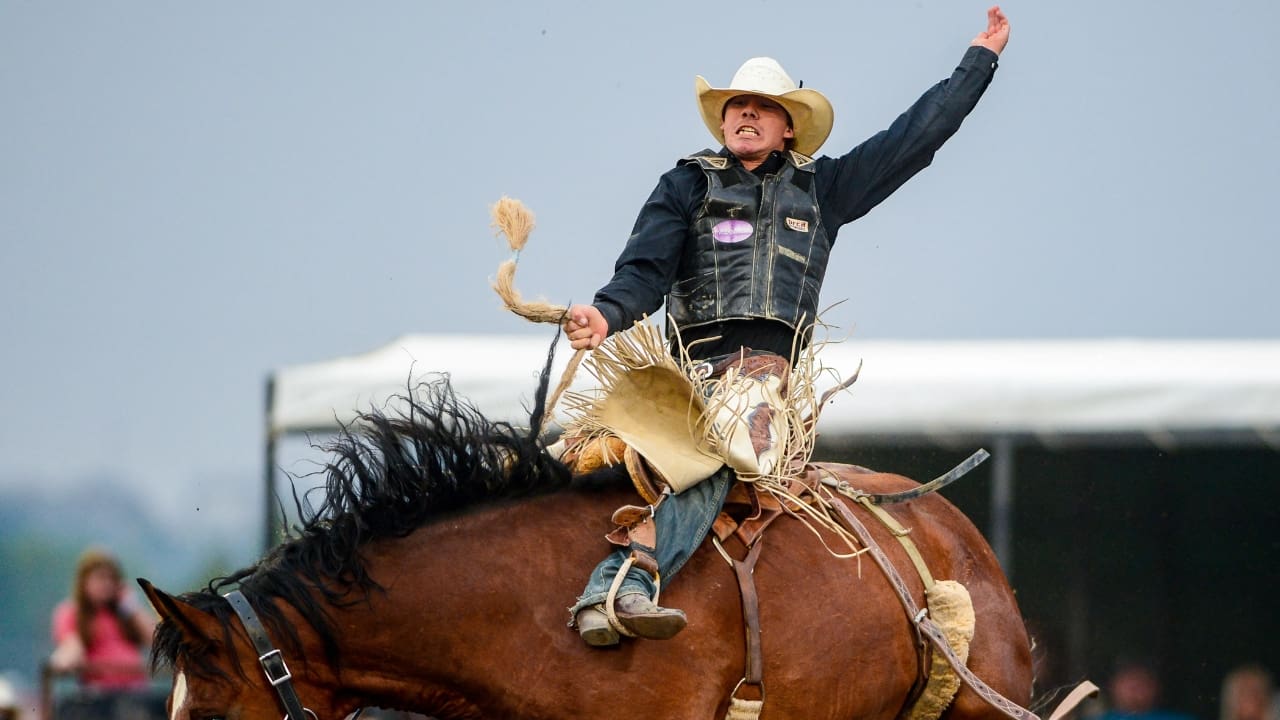 Sage Newman Biography