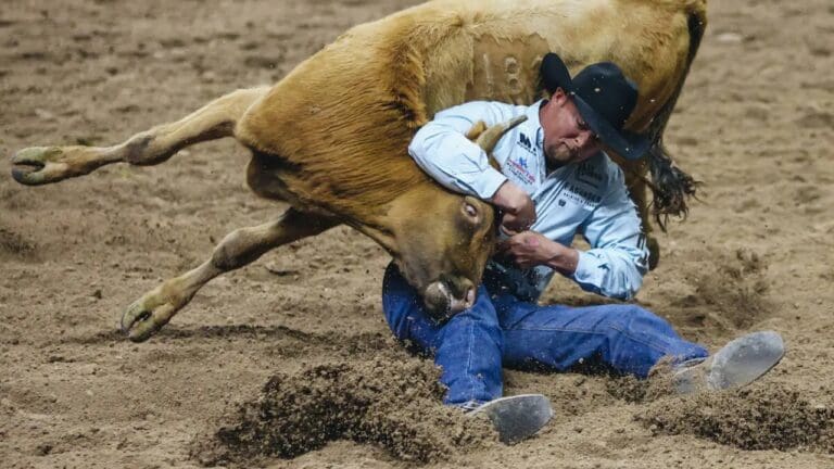 Stan Branco Net Worth Details