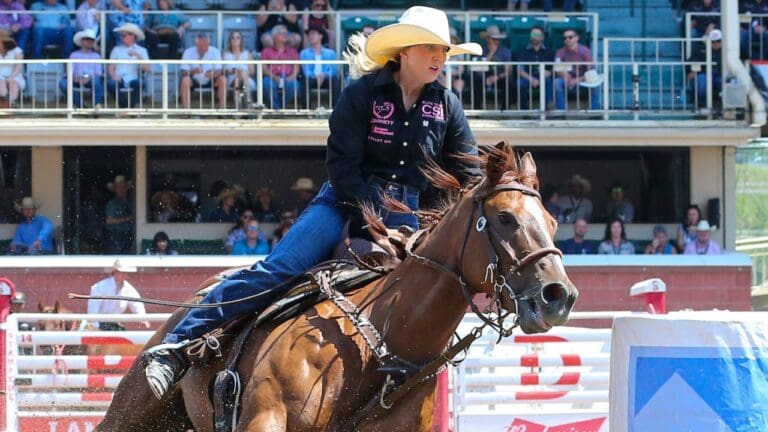 Taycie Matthews Net Worth Details