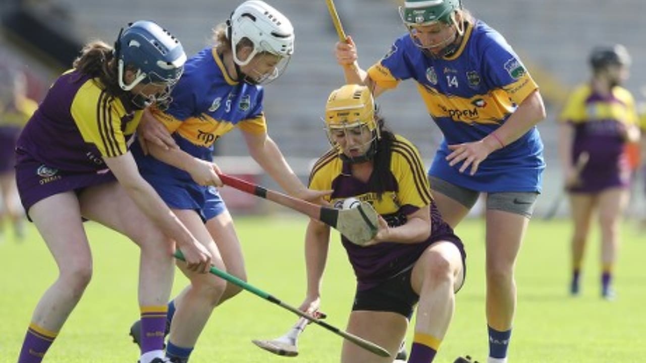 Aine Lacey Biography