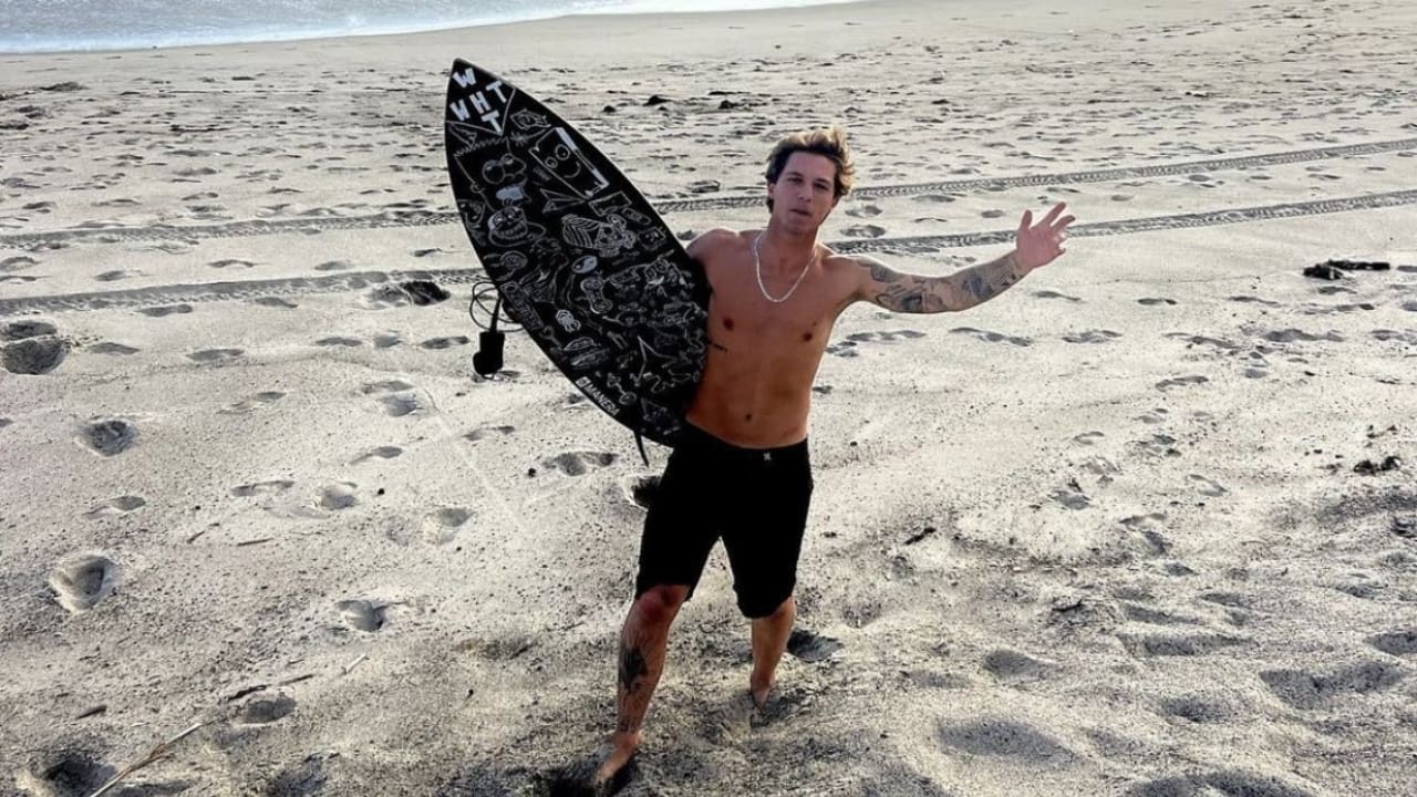 _Davi Toledo Biography