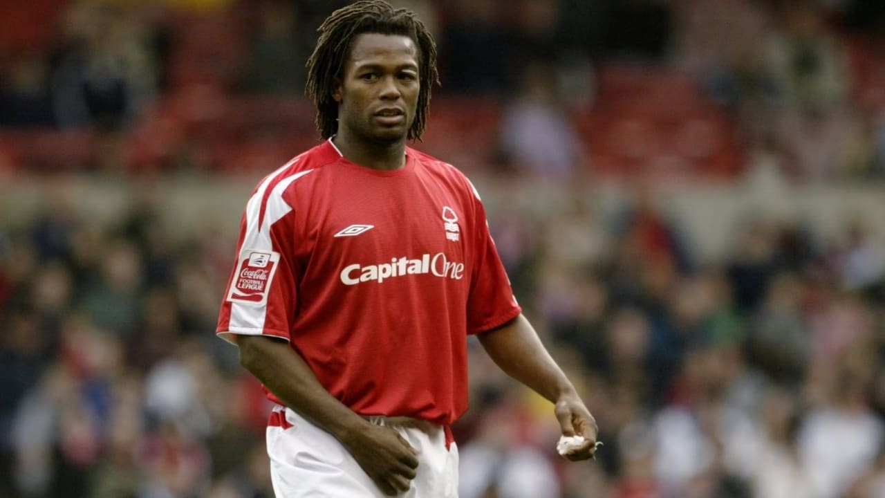 David Johnson Biography