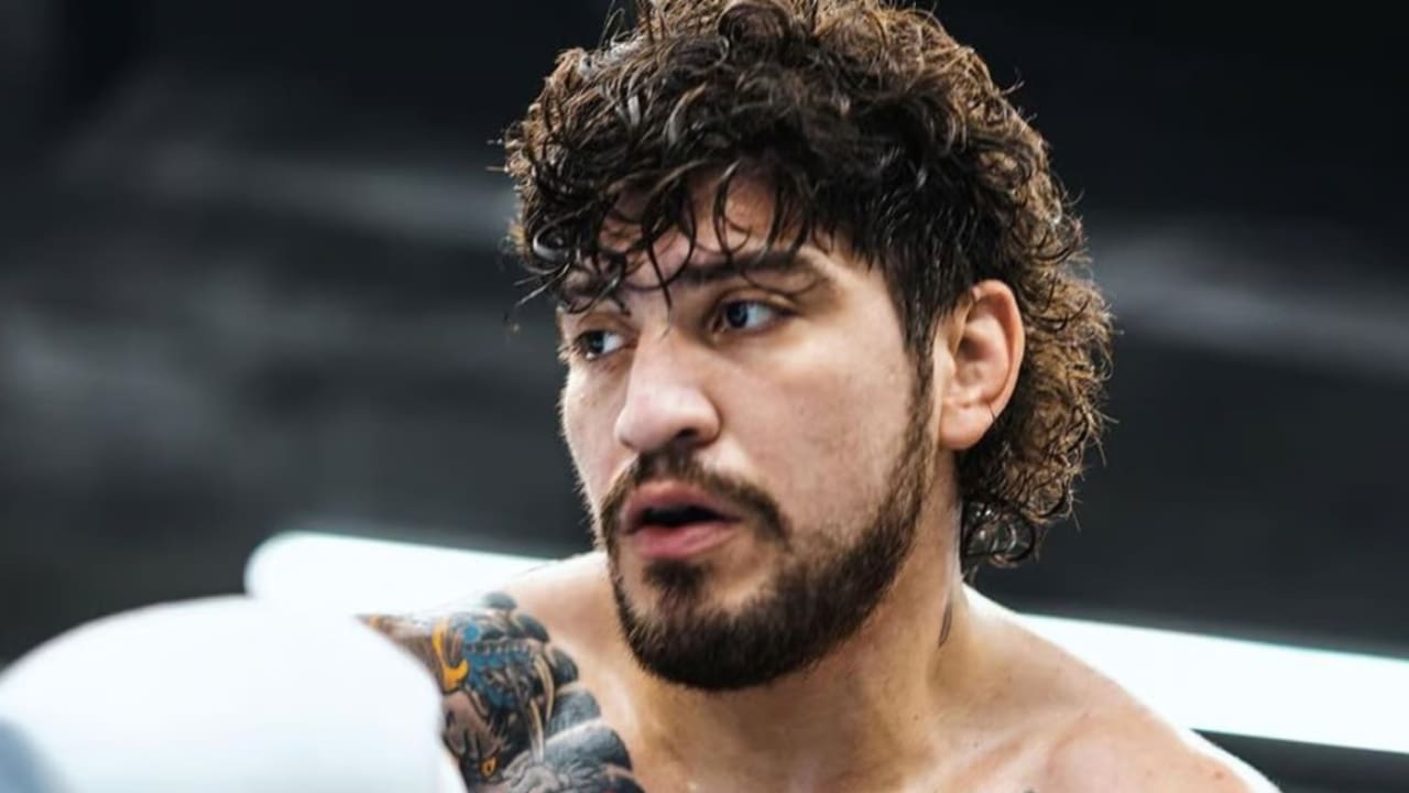 Dillon Danis Net Worth Details Dillon Danis Net Worth Details
