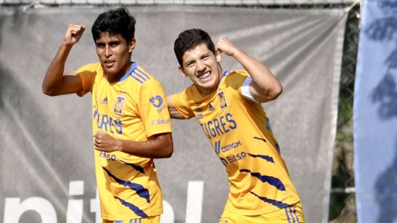 _Fernando González Biography