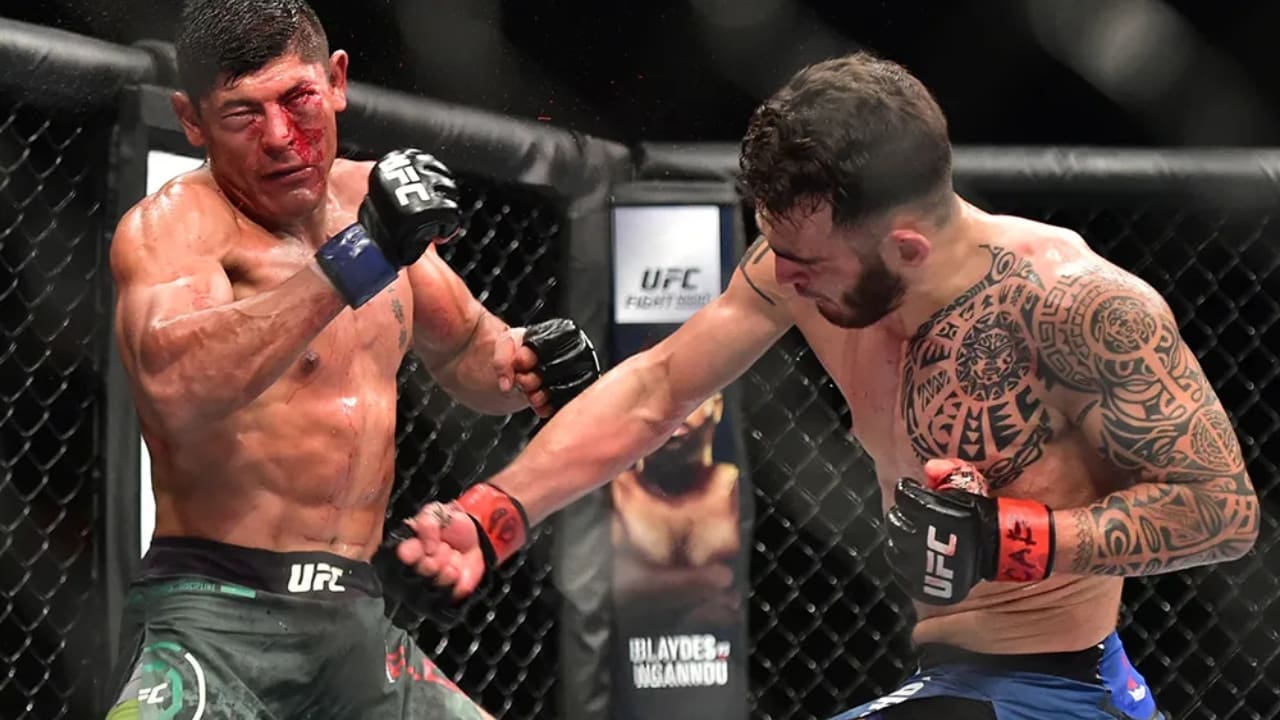 Laureano Staropoli Net Worth in 2026: Fight Purses, Records Laureano Staropoli Biography