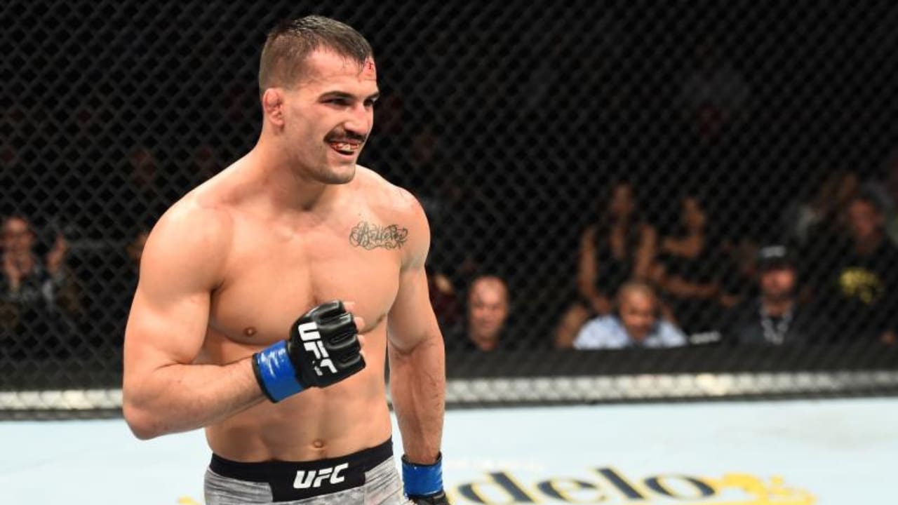 Mirsad Bektić Biography