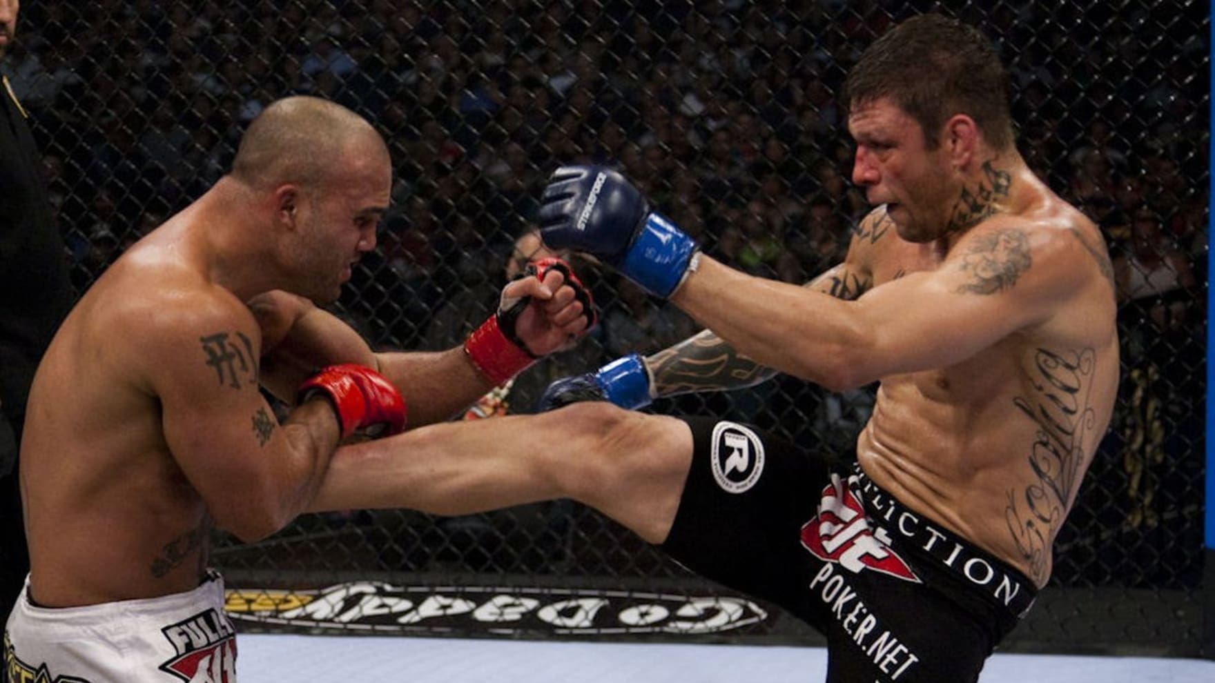 Renato Sobral Net Worth in 2026: Fight Purses, Records Renato Sobral Biography