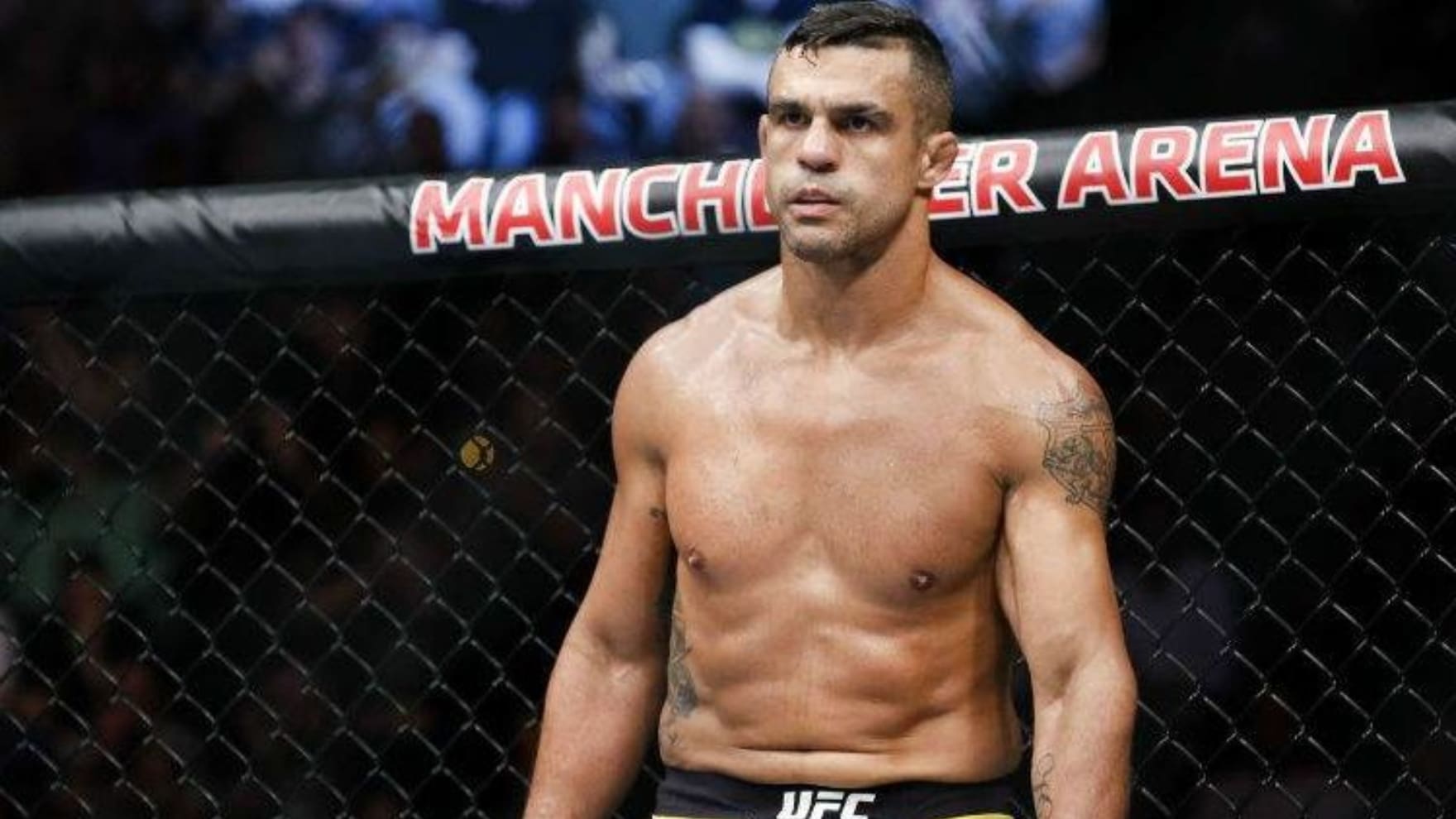 Vitor Belfort Biography