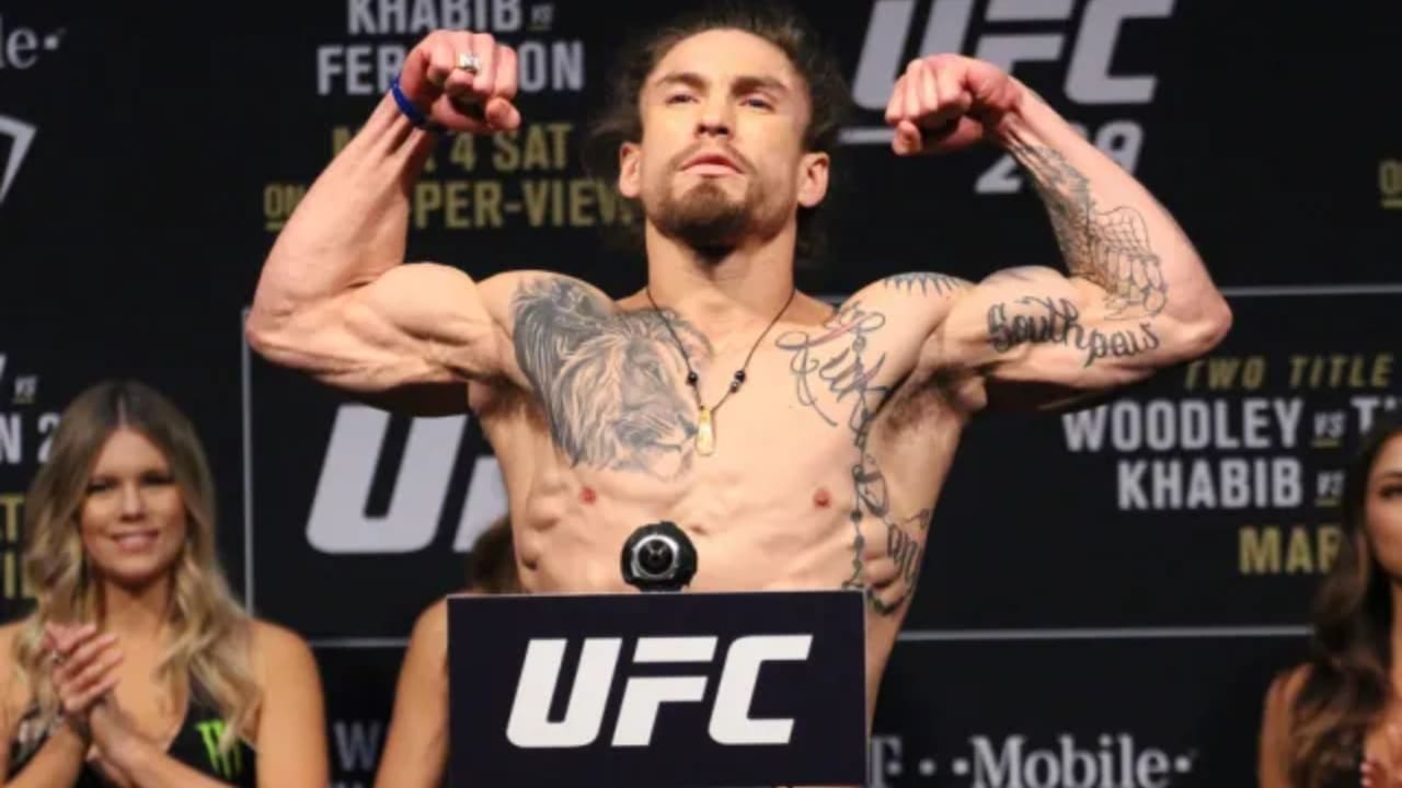 Luke Sanders Net Worth Details Luke Sanders Net Worth Details