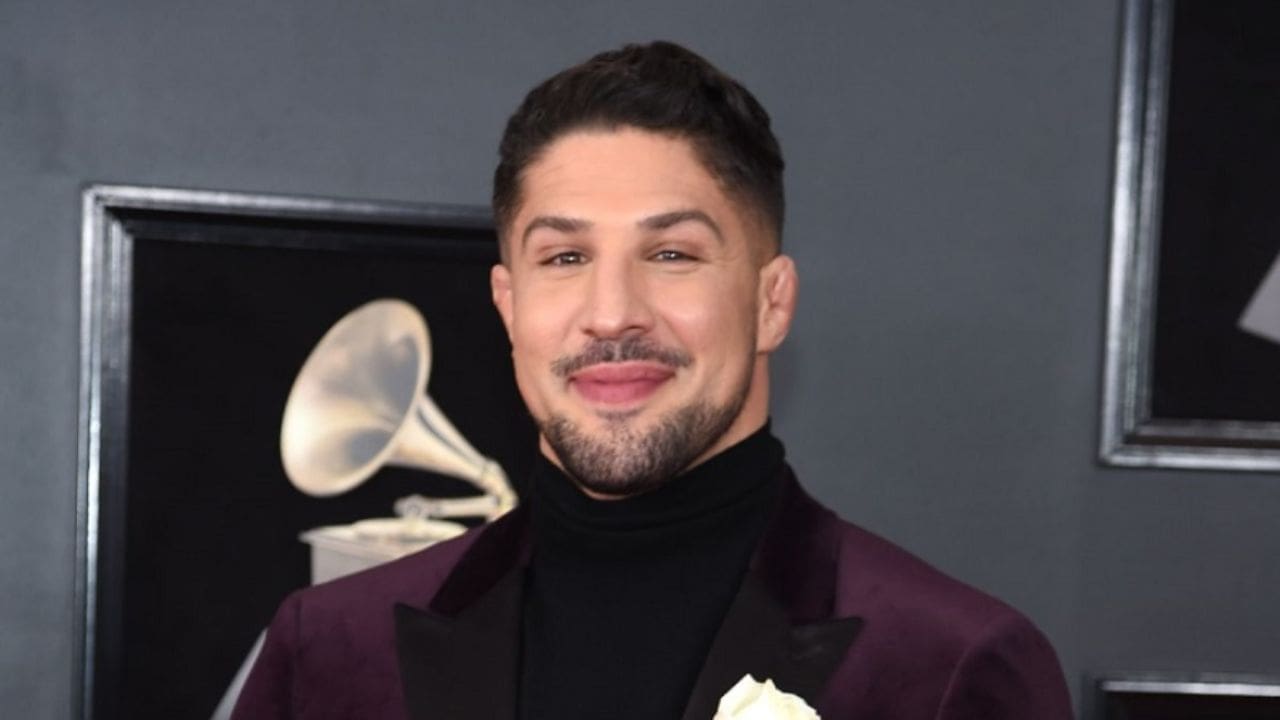 Brendan Schaub Biography