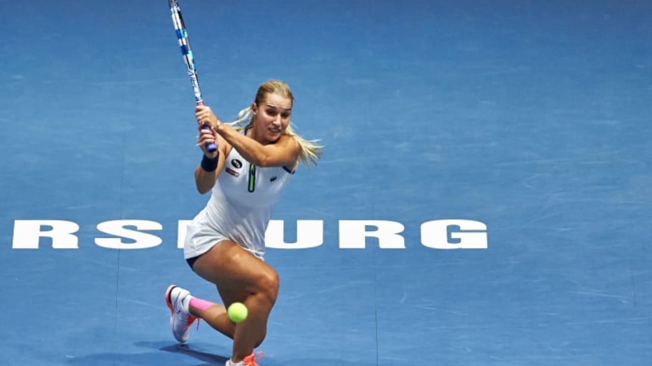 Dominika Cibulkova Biography