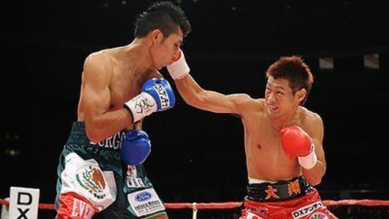 Hozumi Hasegawa Biography