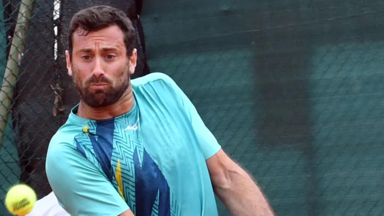 Matteo Viola Biography