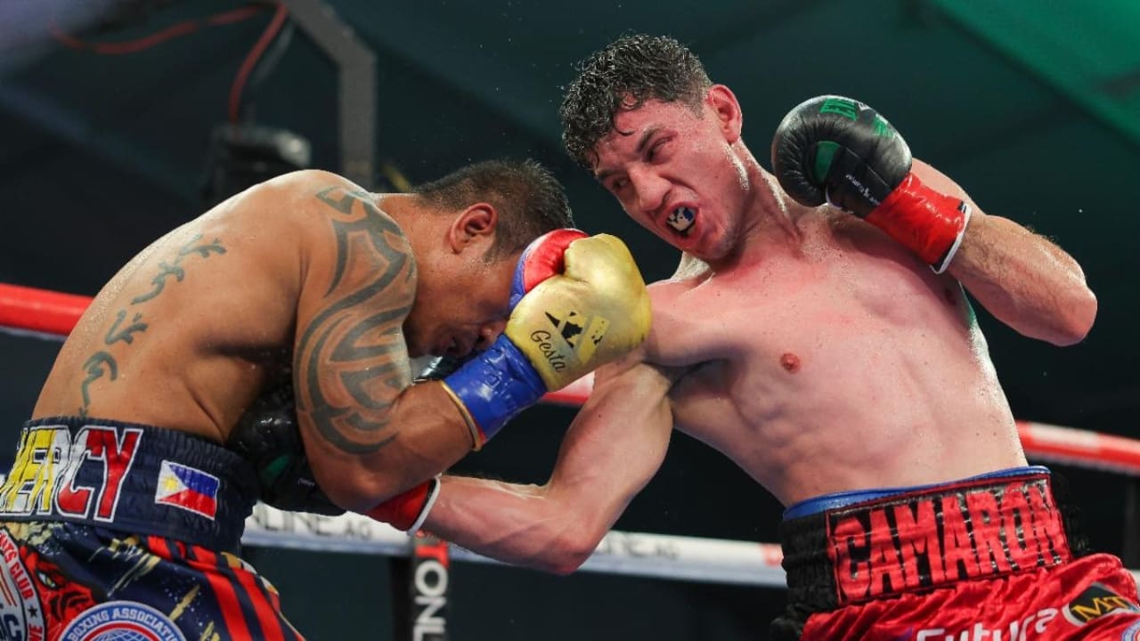 William Zepeda Biography