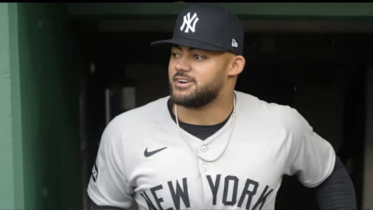 Jasson Dominguez's Net Worth Details Jasson Dominguez's Net Worth Details