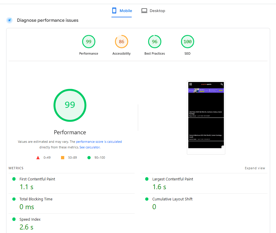 Google PageSpeed Insights mobile performance results displaying 99/100 performance score with detailed metrics