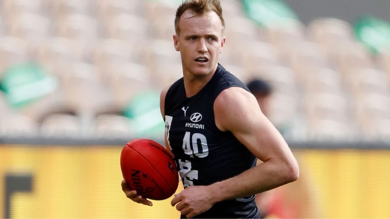 William Hayes Net Worth Details William Hayes Net Worth Details