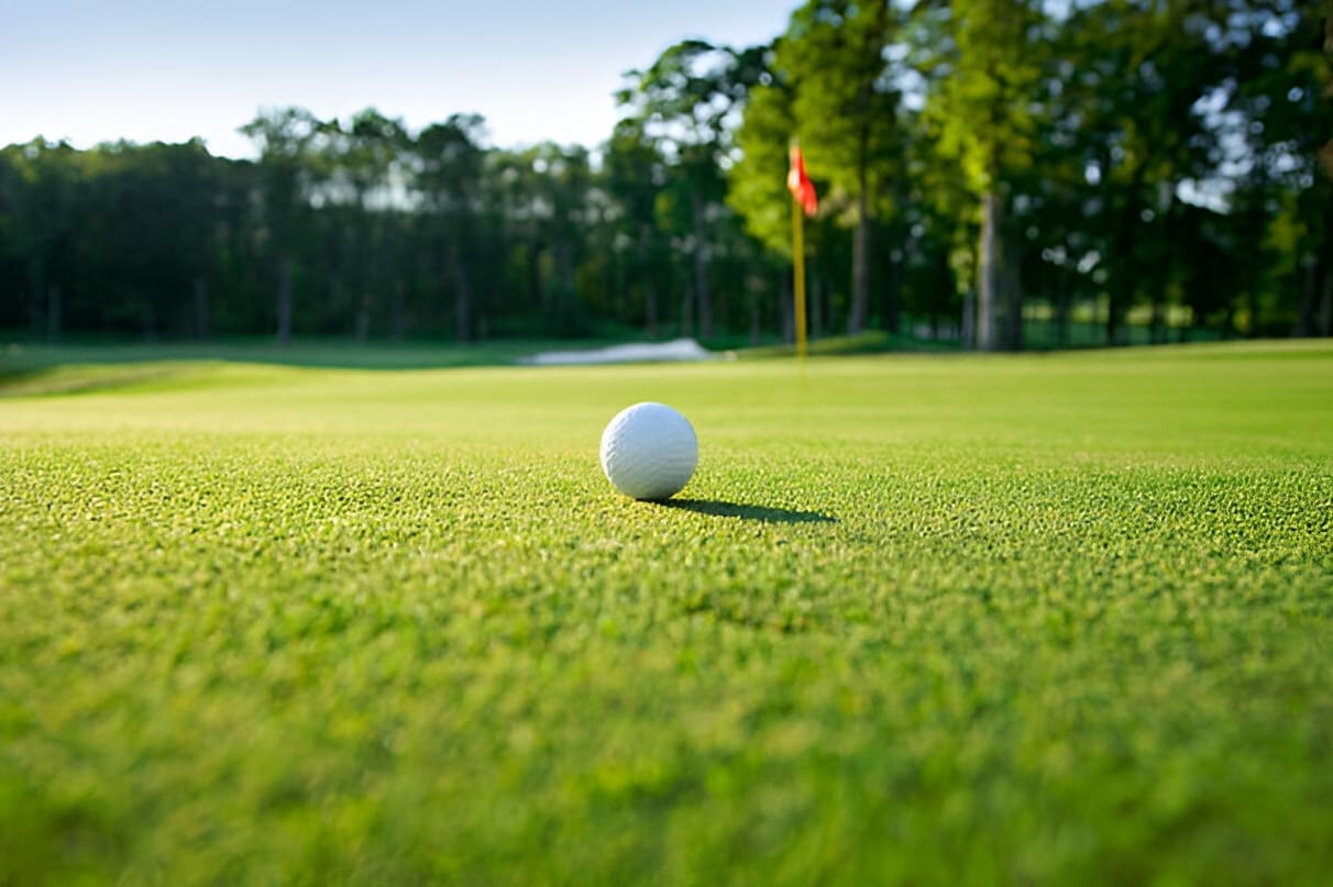 golfcourse golfcourse