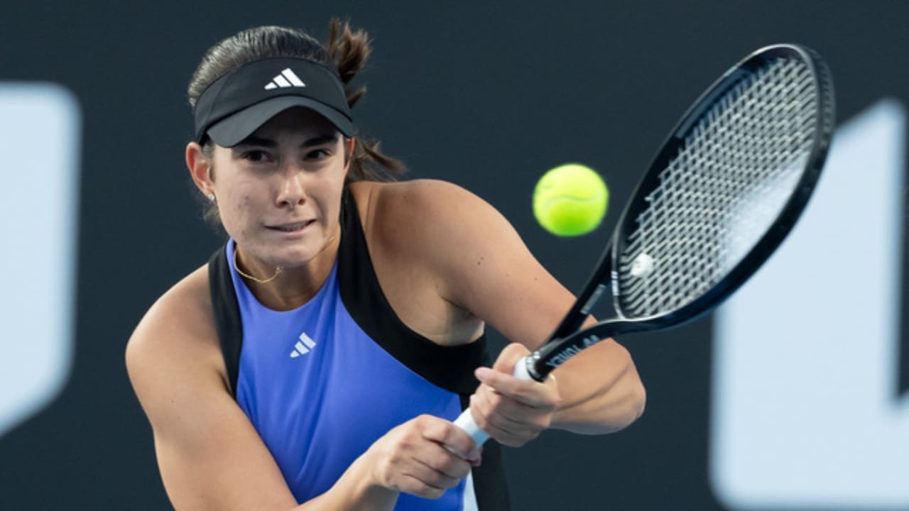 Elena Micic's Net Worth Details Elena Micic's Net Worth Details