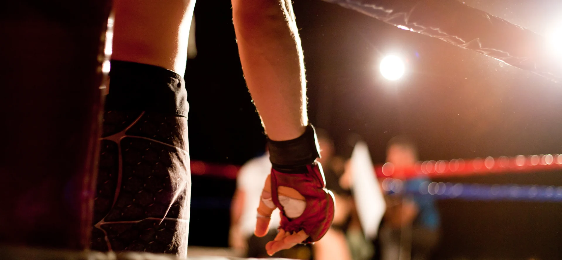 Why Underdogs Win More Often Than You Think in the Octagon Why Underdogs Win More Often Than You Think in the Octagon