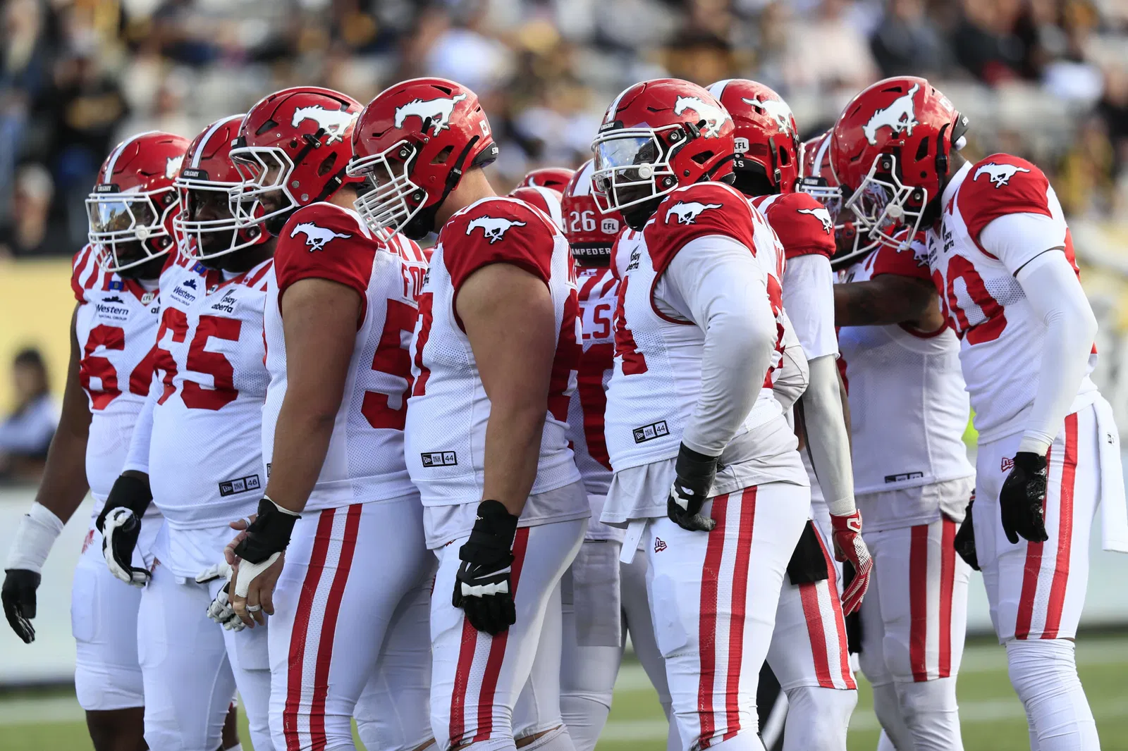 Calgary Stampeders Salaries Calgary Stampeders Salaries