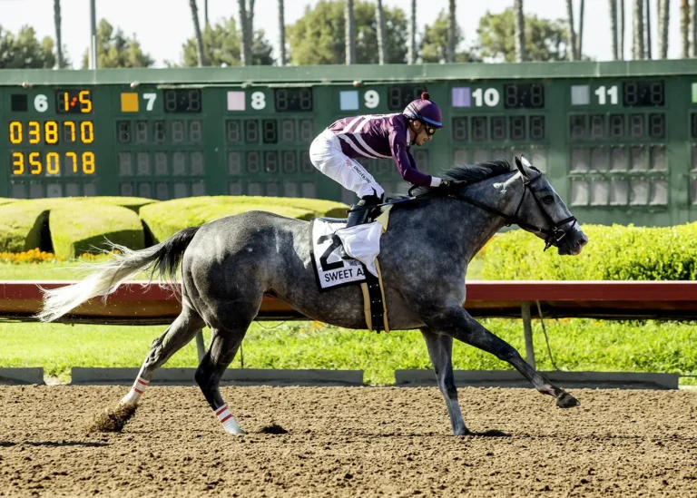 How to Navigate Racing Odds Quickly and Confidently