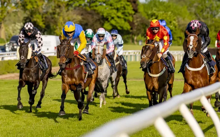 Why Race Days Still Attract New Fans Why Race Days Still Attract New Fans