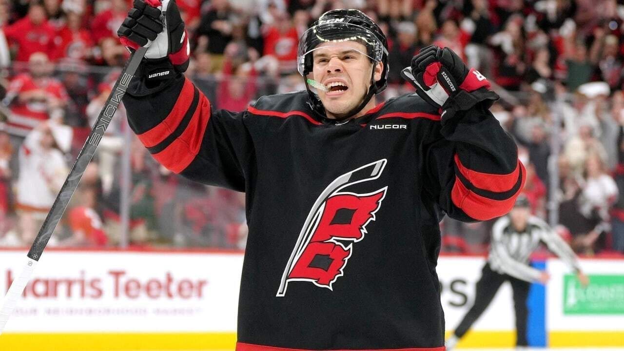 Logan Stankoven's Net Worth Details Logan Stankoven's Net Worth Details